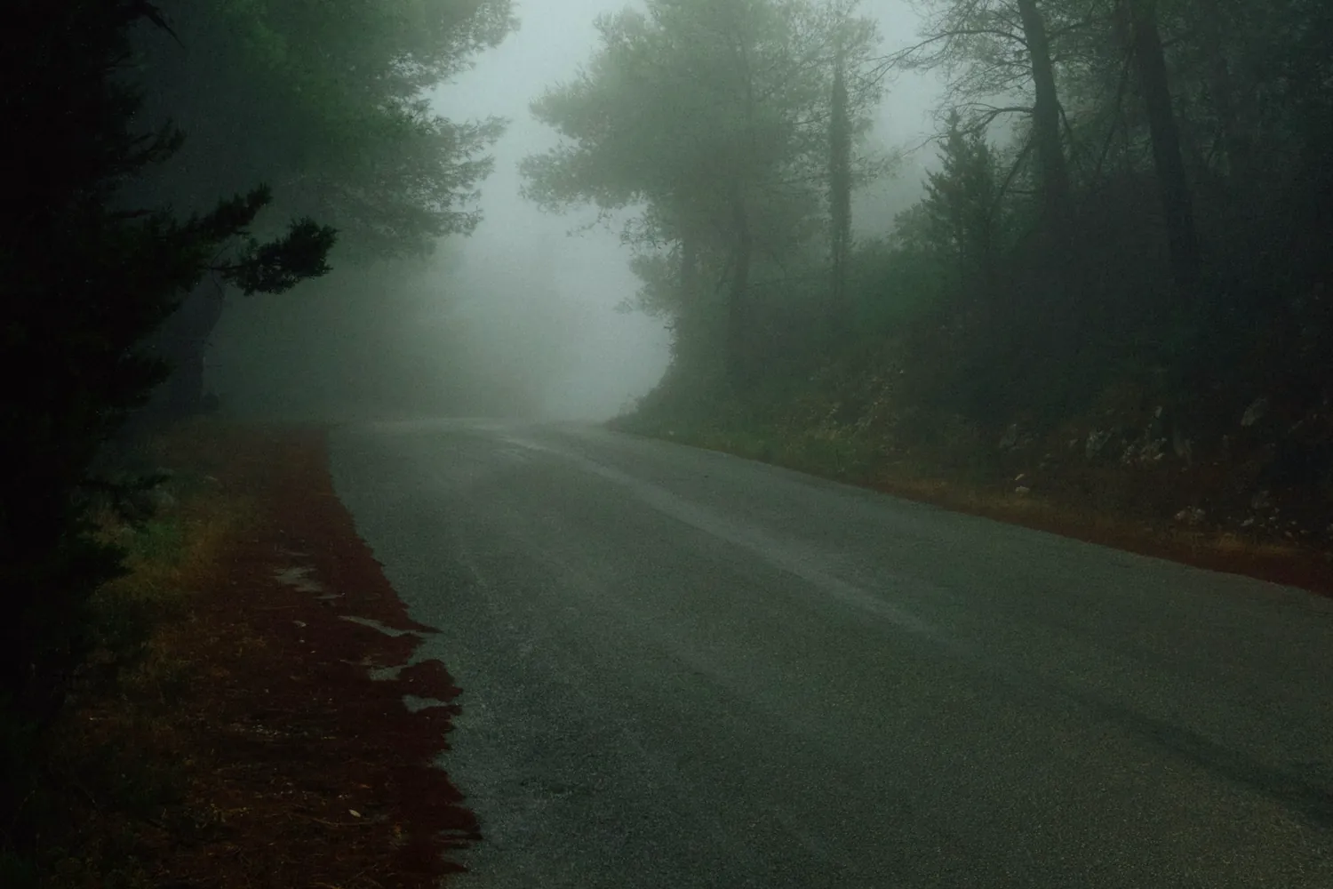 Une route sinueuse enveloppée de brume au cœur d'une forêt