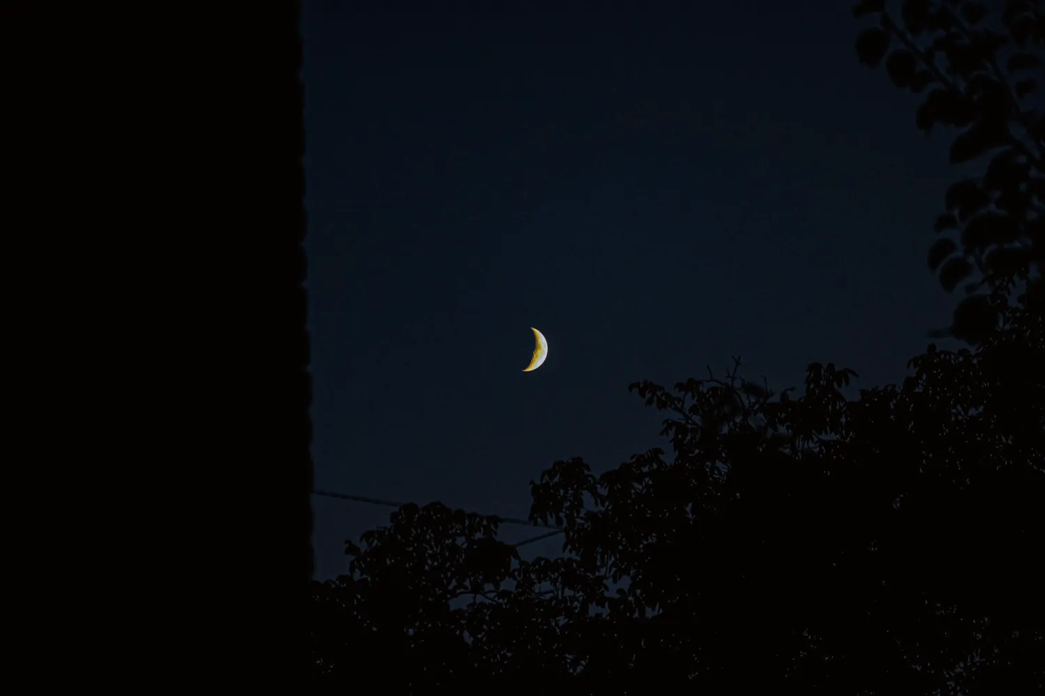 Un croissant de lune dans un ciel nocturne, au-dessus d'arbres sombres